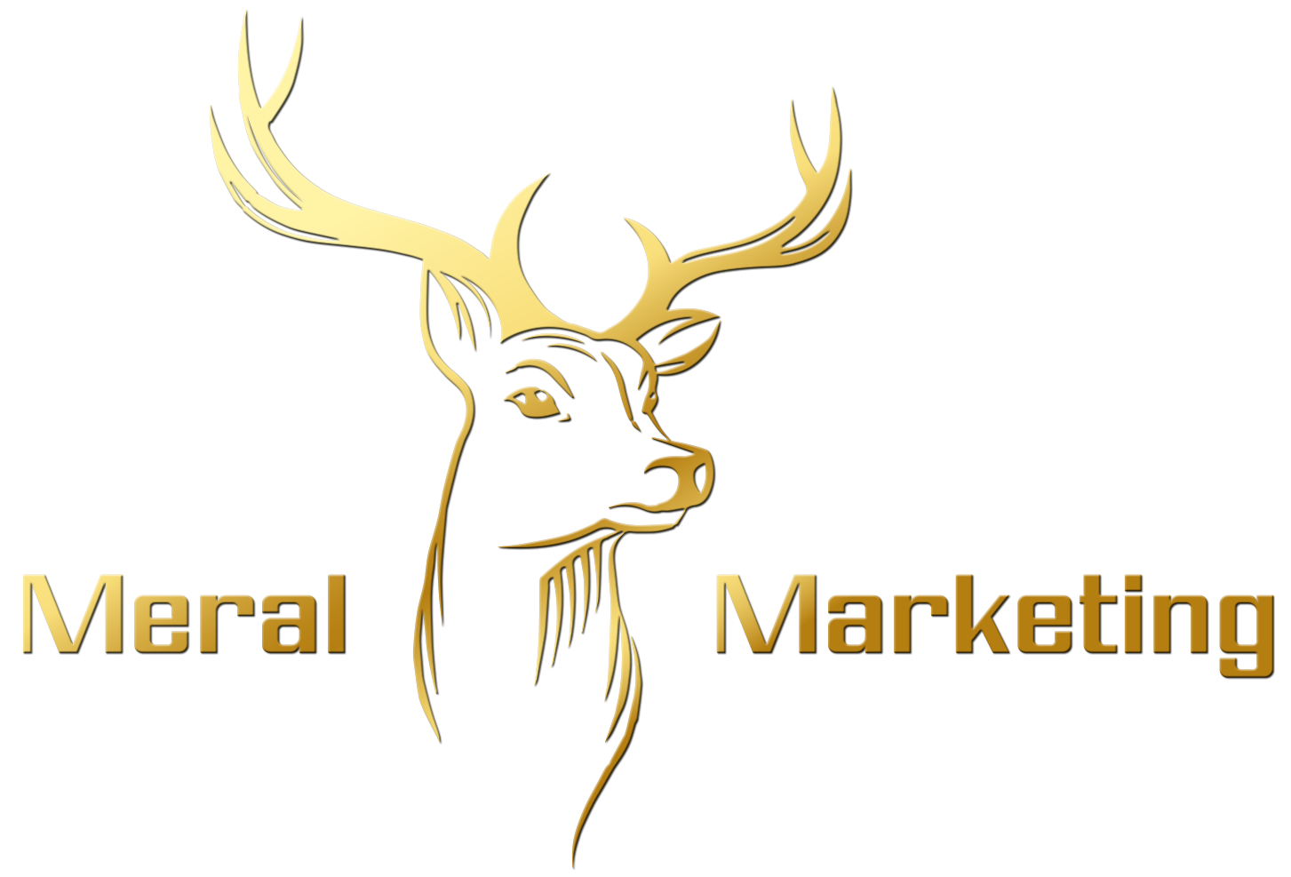 Meral Network Trading