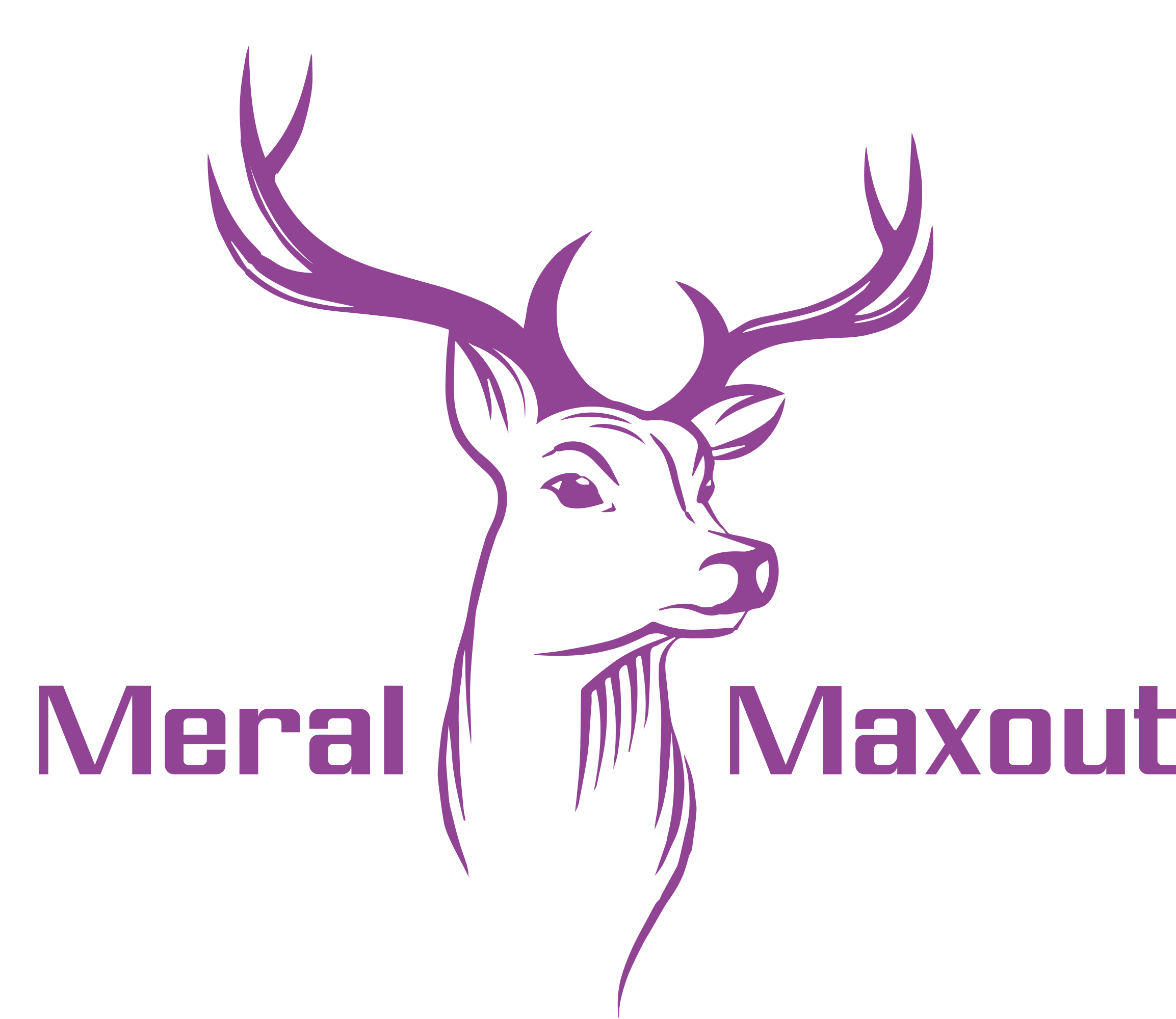 Maxout Network